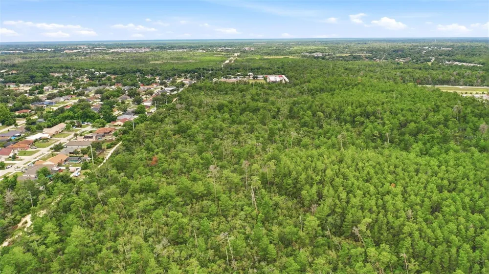 WOLVERINE (PAPER) AVENUE Deltona, FL 32725