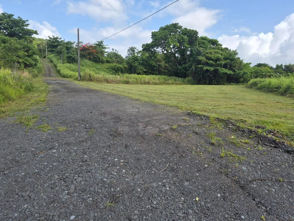PR 956 KM 8.8 E SECTOR LOS MEDINAS BO GUZMAN ARRIBA Rio Grande, PR 00745