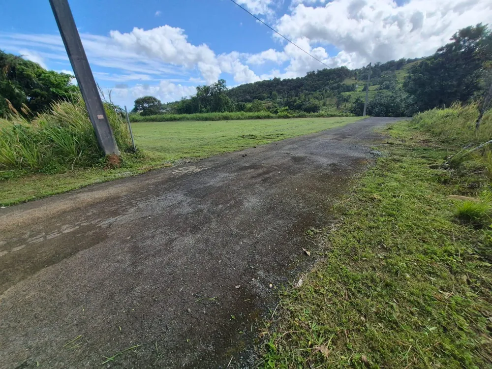 PR 956 KM 8.8 E SECTOR LOS MEDINAS BO GUZMAN ARRIBA Rio Grande, PR 00745