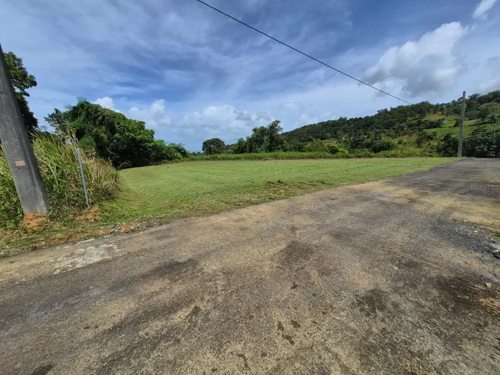 PR 956 KM 8.8 E SECTOR LOS MEDINAS BO GUZMAN ARRIBA Rio Grande, PR 00745