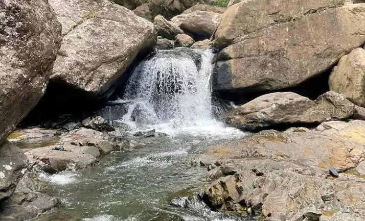 PR 956 KM 8.8 E SECTOR LOS MEDINAS BO GUZMAN ARRIBA Rio Grande, PR 00745