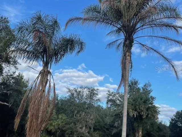 25800 WASHINGTON STREET Astatula, FL 34705