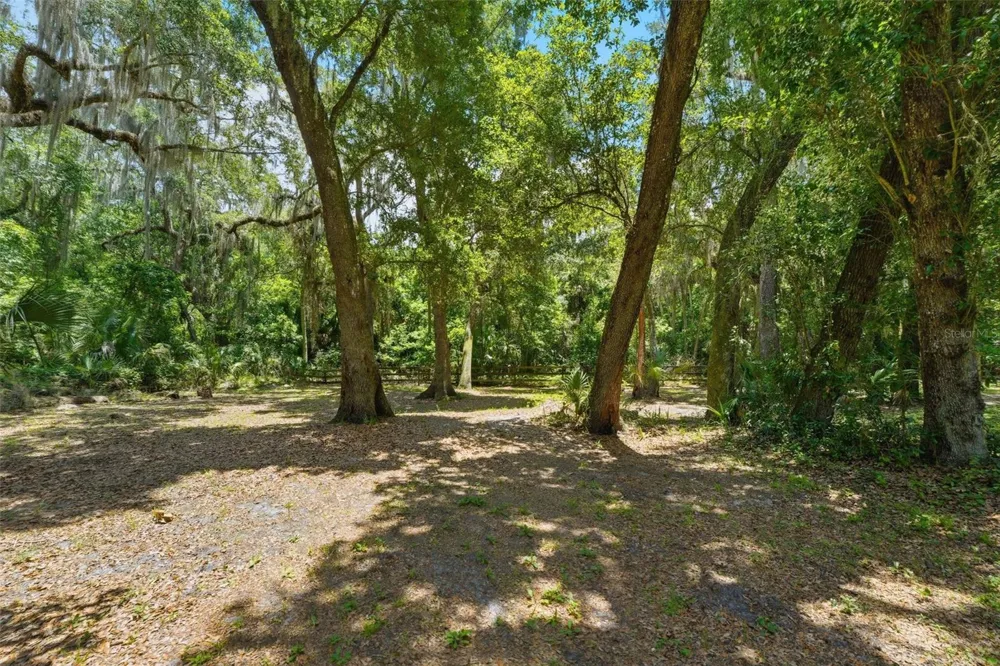 381 JUNGLE ROAD Geneva, FL 32732