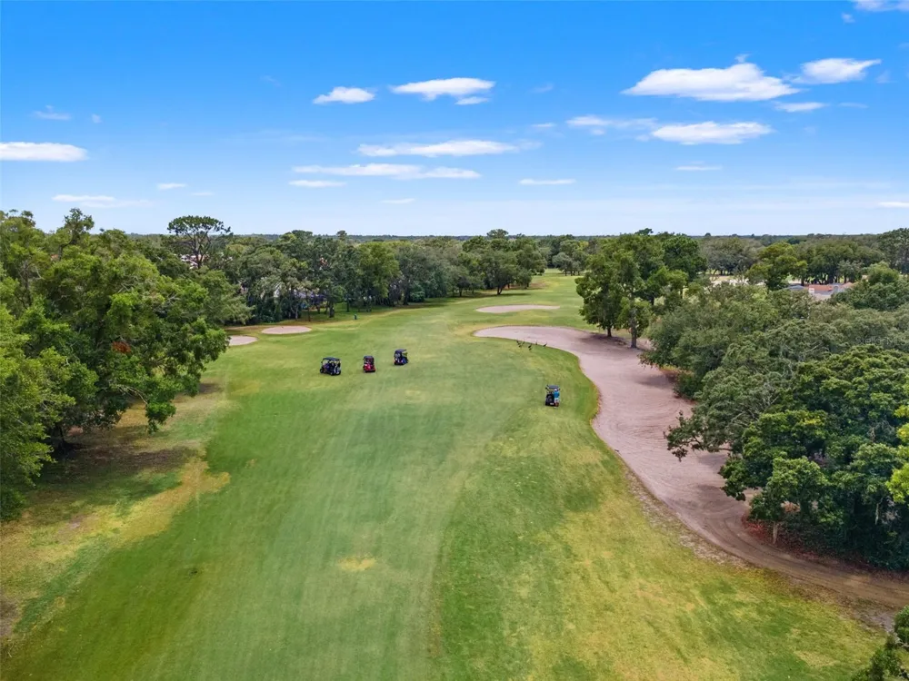 9419 NEW ORLEANS DRIVE Weeki Wachee, FL 34613