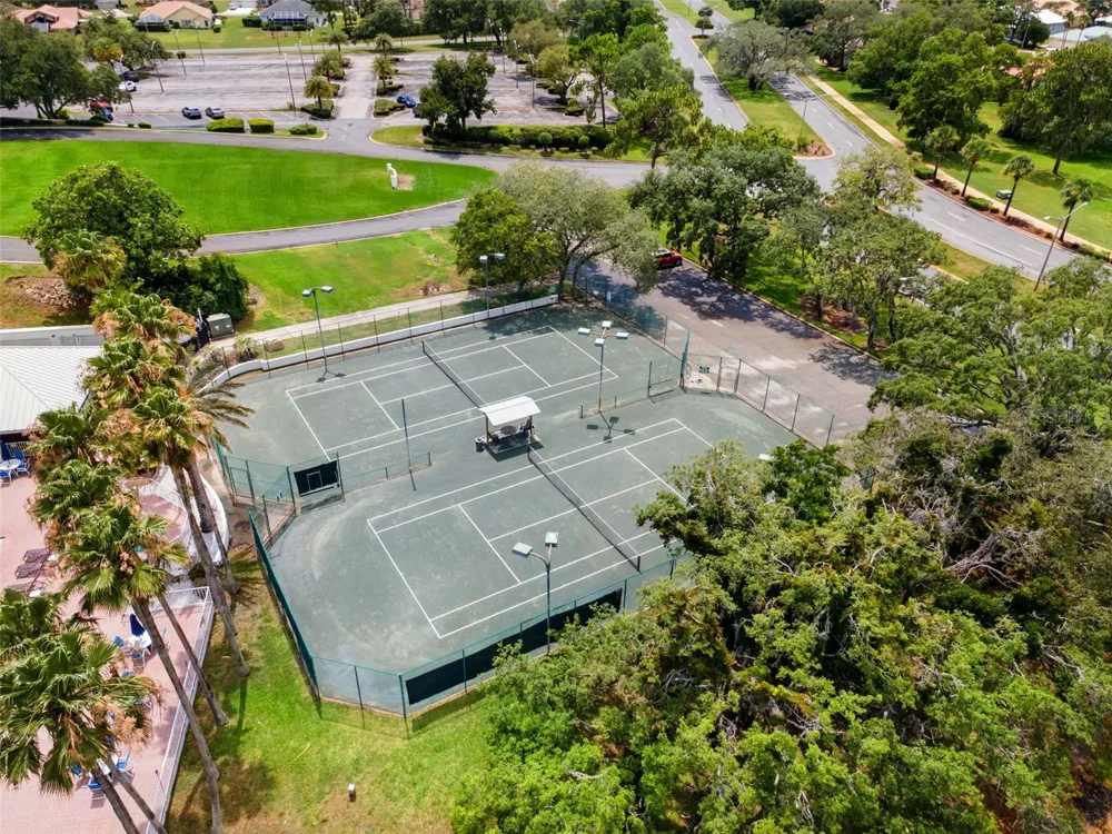 9419 NEW ORLEANS DRIVE Weeki Wachee, FL 34613