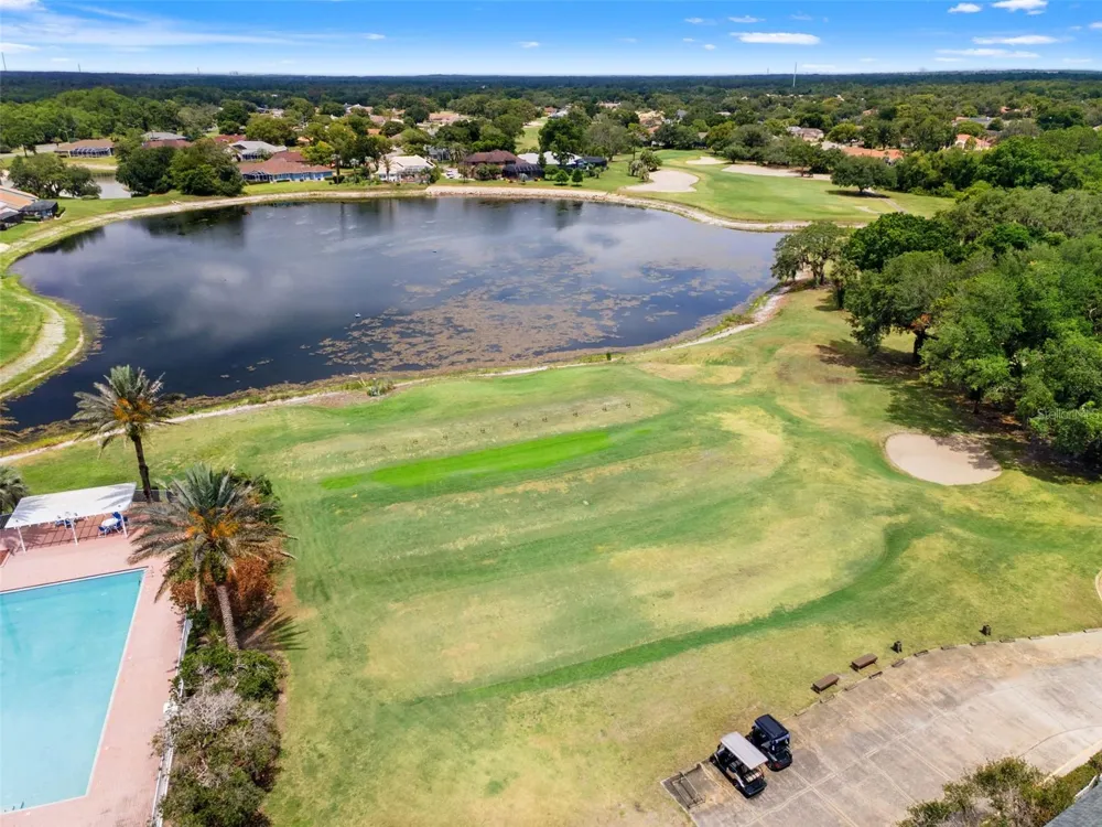 9419 NEW ORLEANS DRIVE Weeki Wachee, FL 34613