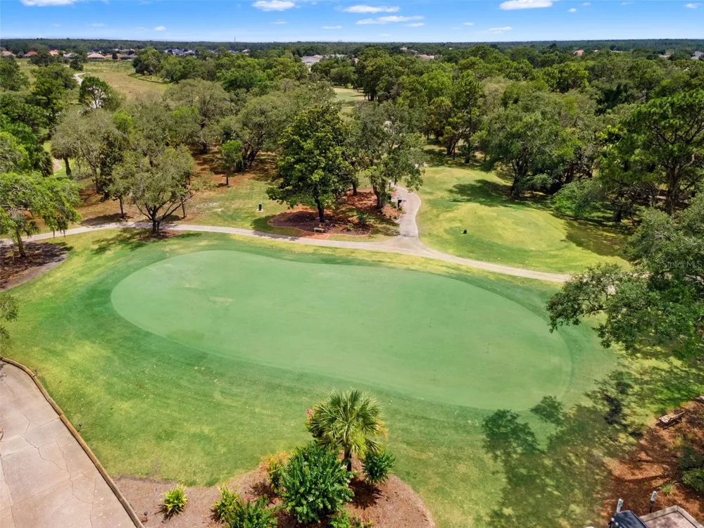9419 NEW ORLEANS DRIVE Weeki Wachee, FL 34613