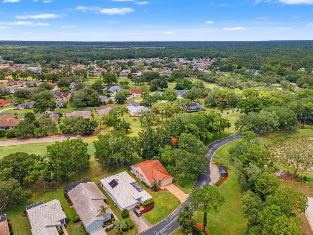9419 NEW ORLEANS DRIVE Weeki Wachee, FL 34613