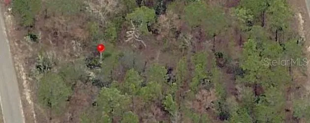 23 FISHER LANE TERRACE Ocklawaha, FL 32179