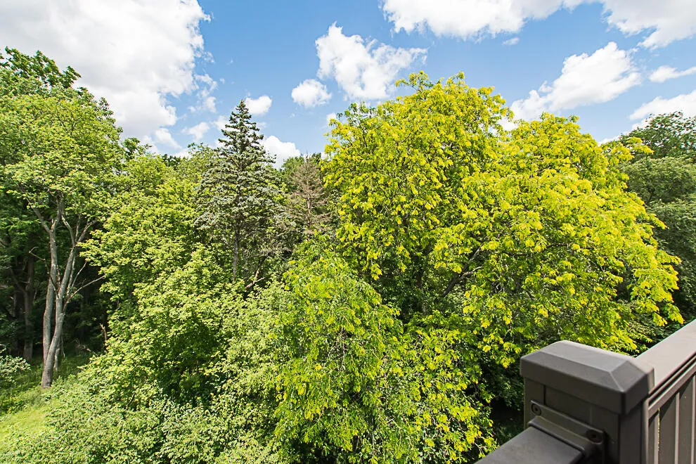 4040 Greenleaf Circle #408 Kalamazoo City, MI 49008