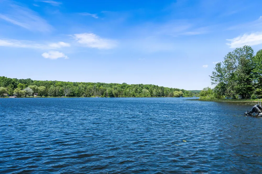 5541 Miles Road South Arm Township, MI 49727