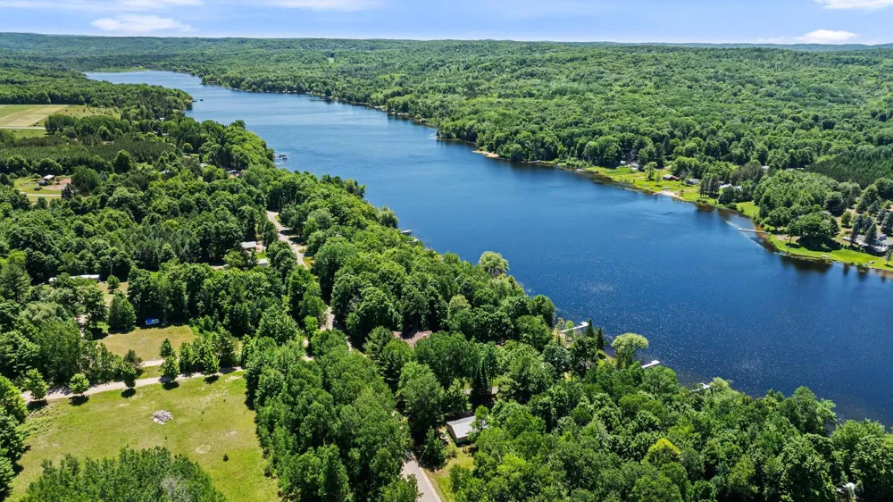 5541 Miles Road South Arm Township, MI 49727