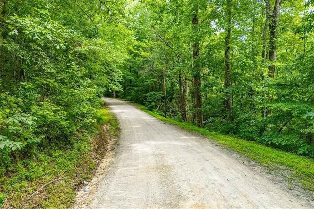0 Nix Road Bremen, GA 30110