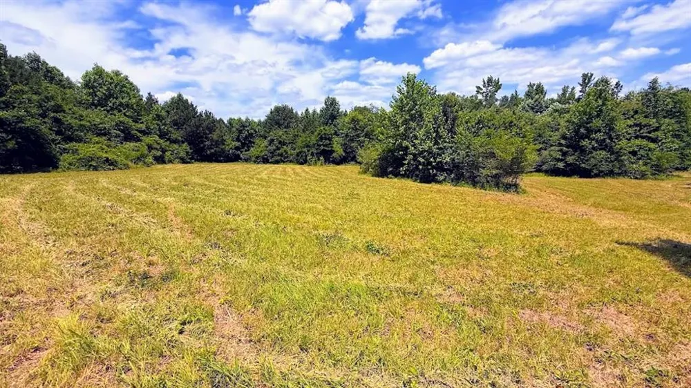 0 Nix Road Bremen, GA 30110