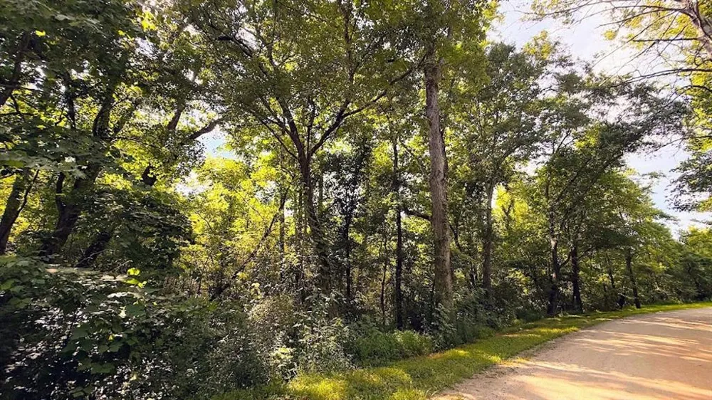 0 Nix Road Bremen, GA 30110