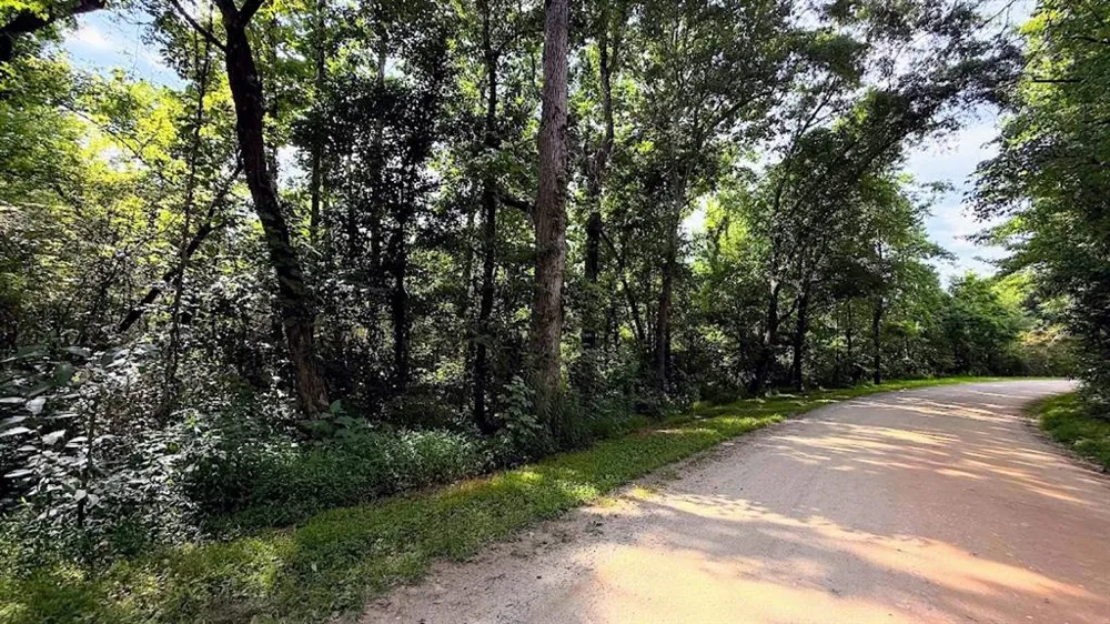 0 Nix Road Bremen, GA 30110
