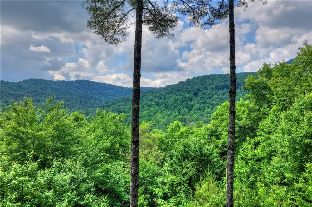 255 Indian Ridge Road Epworth, GA 30541