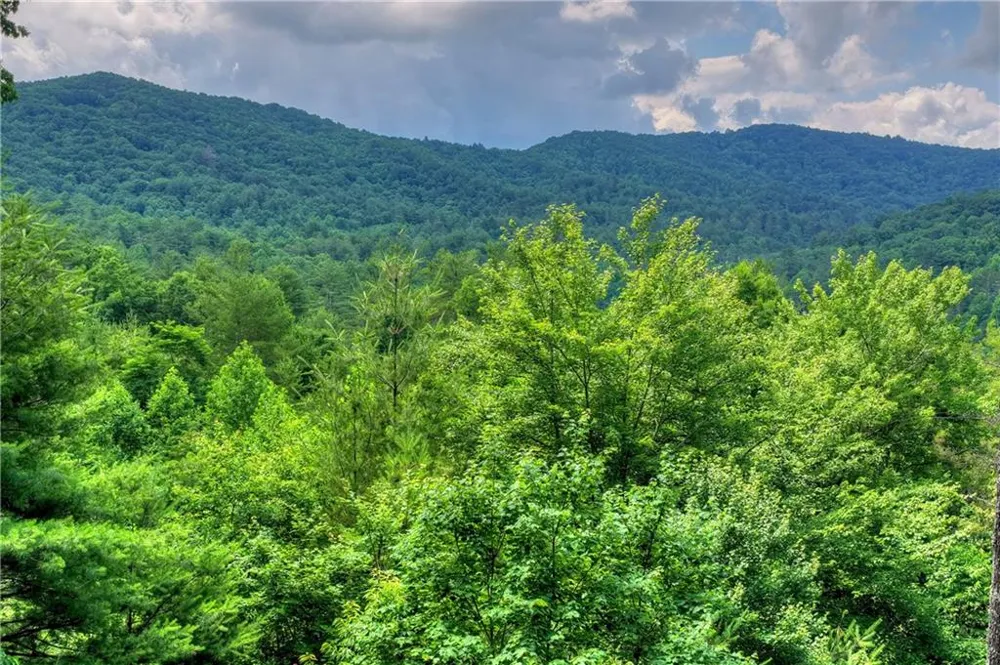 255 Indian Ridge Road Epworth, GA 30541