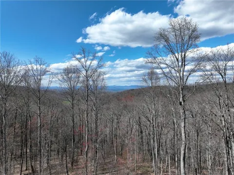 270R Stone Cliff Drive