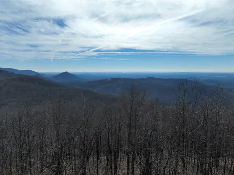 256 Blood Root Trail