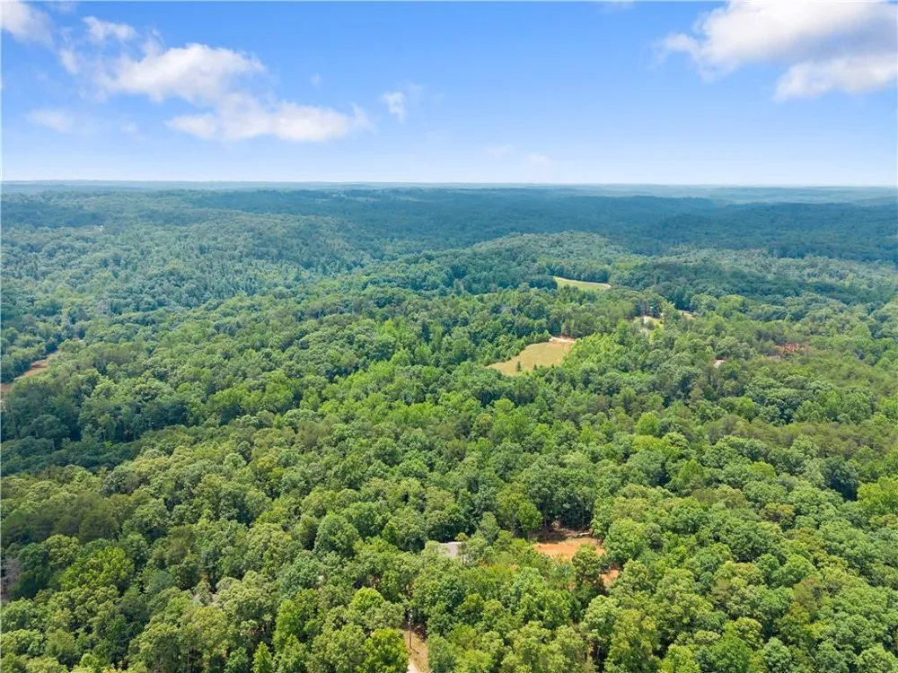 308 Fowler Creek Drive Cleveland, GA 30528