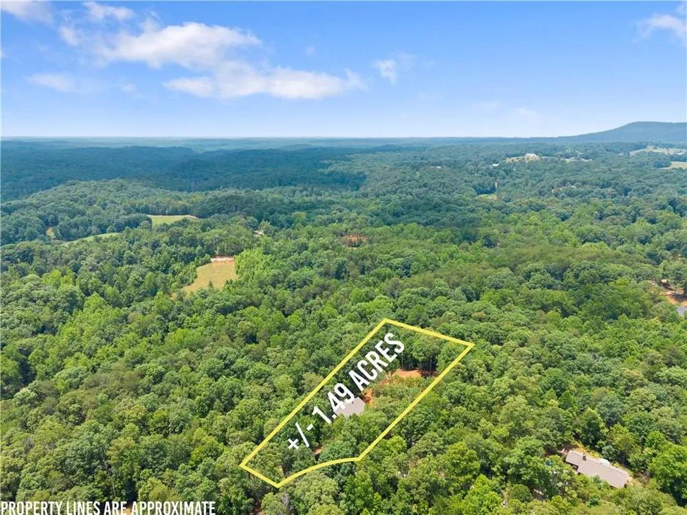 308 Fowler Creek Drive Cleveland, GA 30528