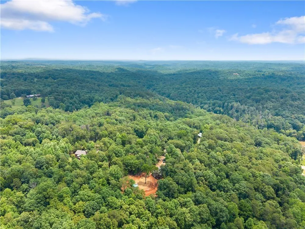 308 Fowler Creek Drive Cleveland, GA 30528