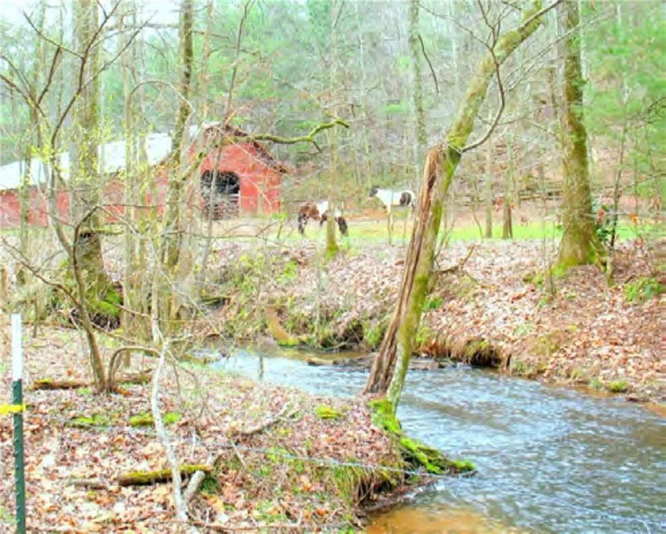 988 Woodland Sautee Nacoochee, GA 30571