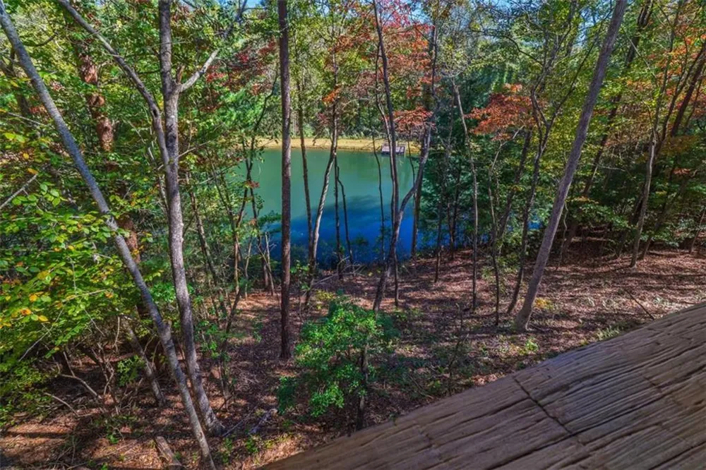 85 Moreland Trail Cherry Log, GA 30522