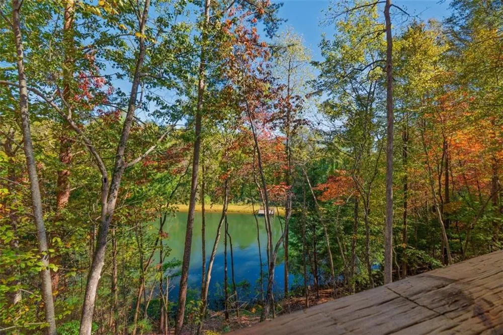 85 Moreland Trail Cherry Log, GA 30522