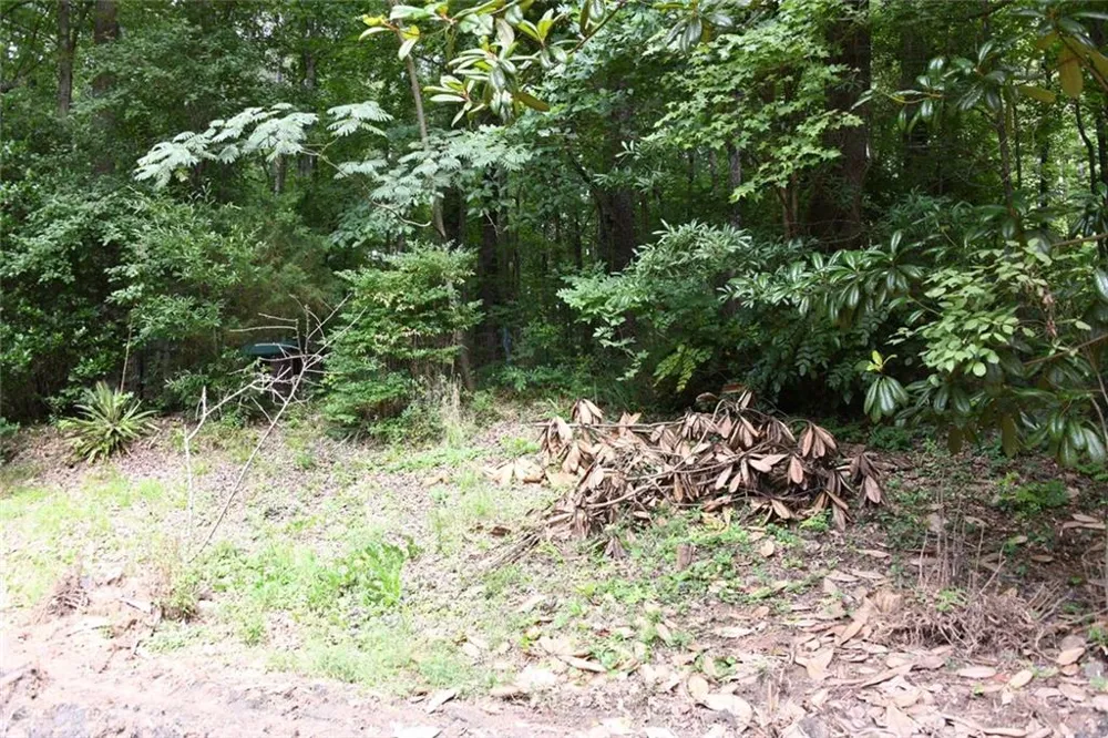 5435 Hearn Road Ellenwood, GA 30294