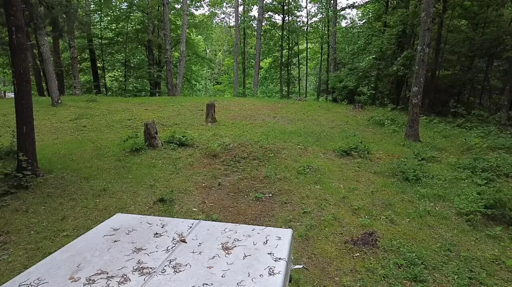 S Woods Road Branch, MI 49402