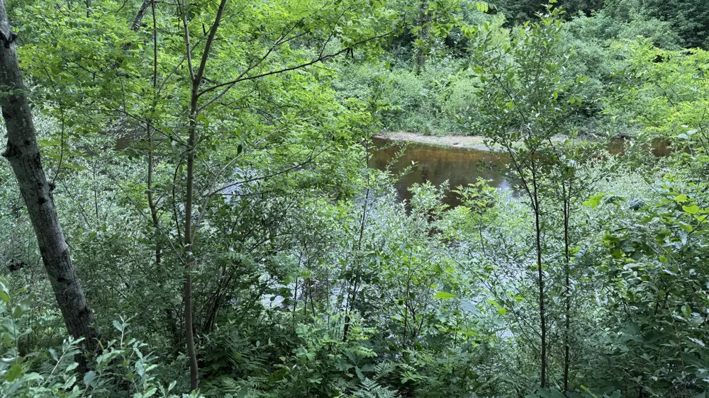 S Woods Road Branch, MI 49402