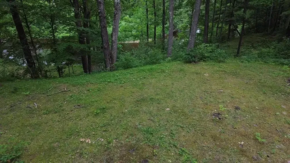 S Woods Road Branch, MI 49402