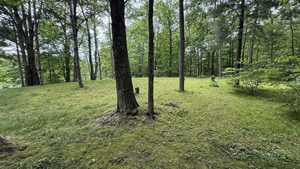 S Woods Road Branch, MI 49402