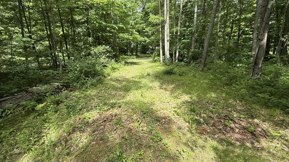 S Woods Road Branch, MI 49402