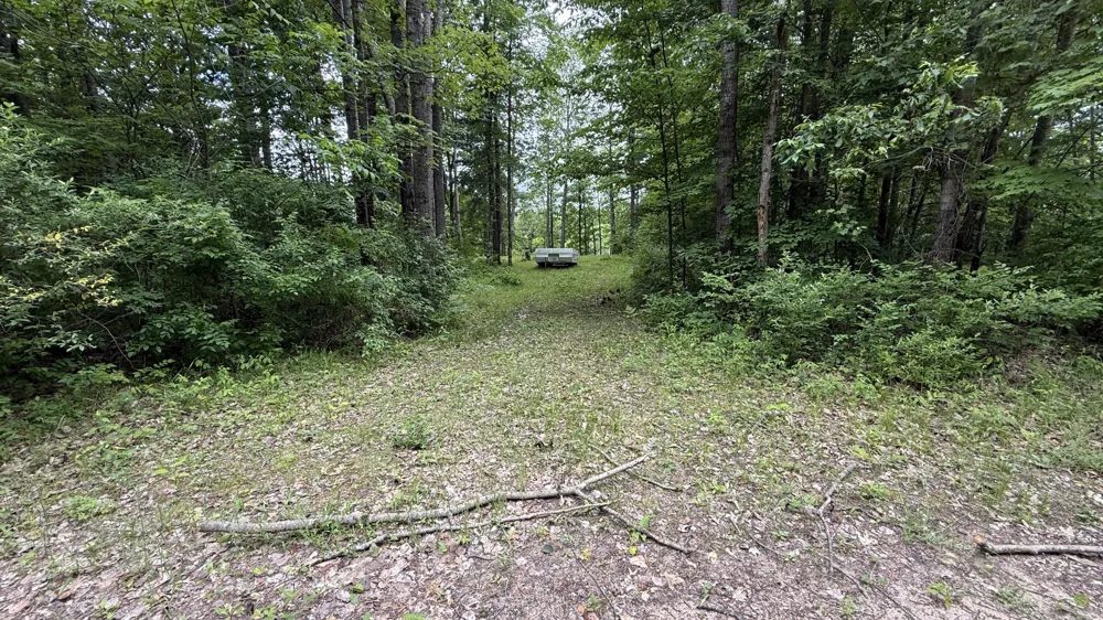 S Woods Road Branch, MI 49402