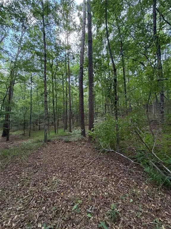 000 SERENITY Cataula, GA 31808