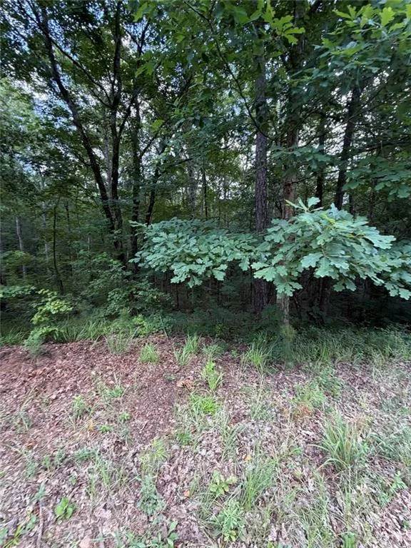 000 SERENITY Cataula, GA 31808