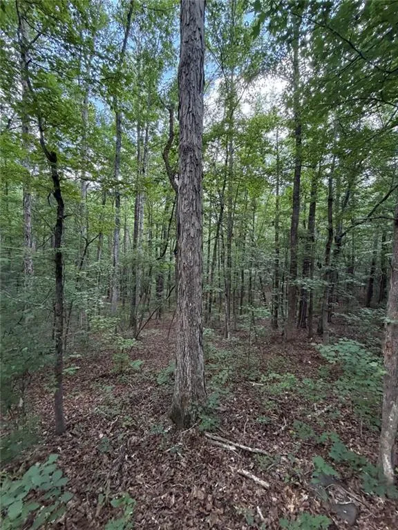 000 SERENITY Cataula, GA 31808