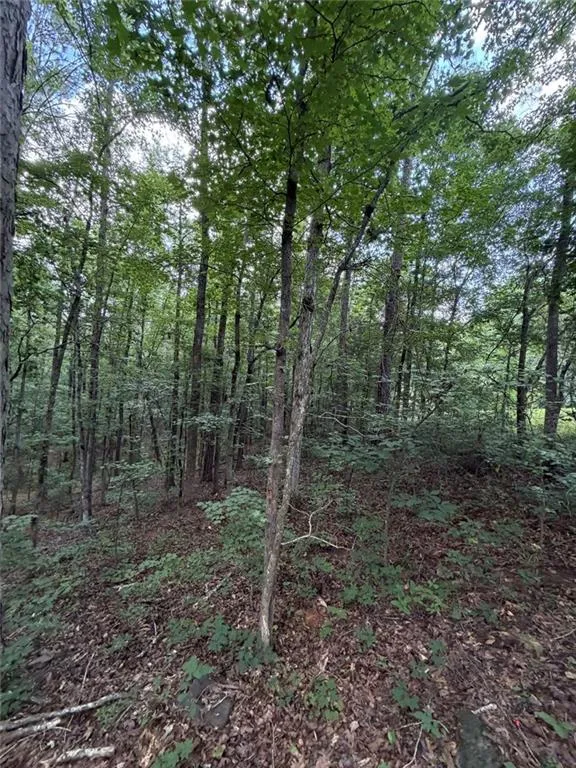 000 SERENITY Cataula, GA 31808