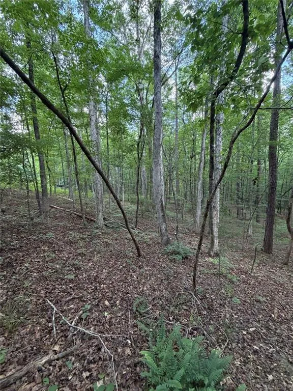 000 SERENITY Cataula, GA 31808