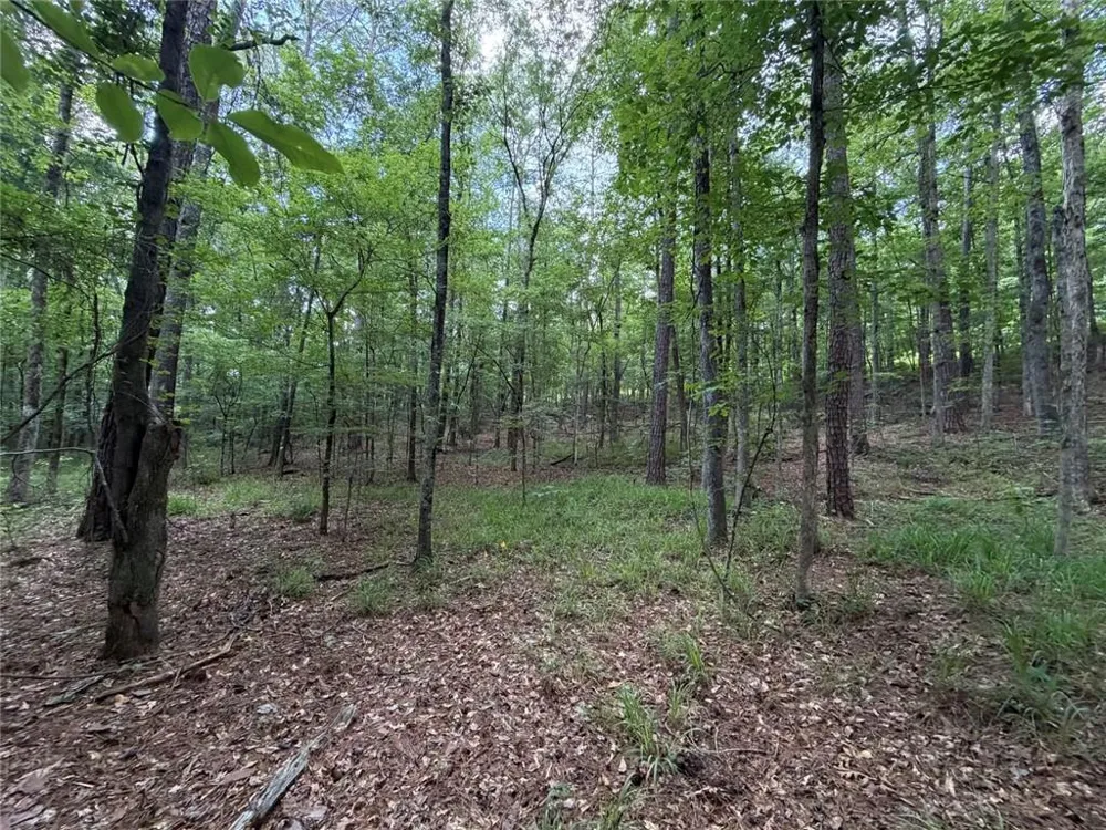 000 SERENITY Cataula, GA 31808