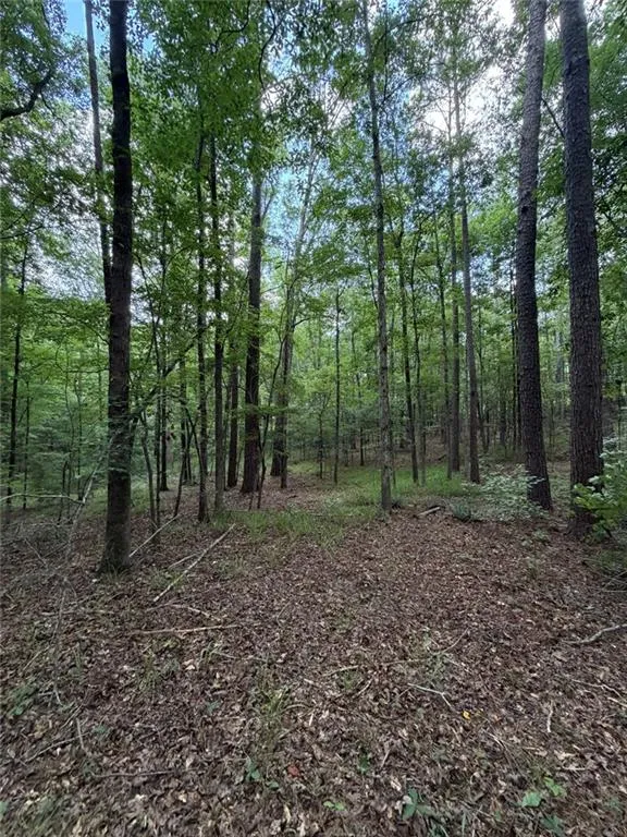 000 SERENITY Cataula, GA 31808