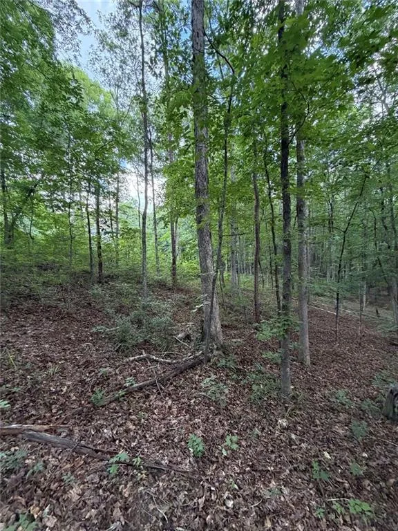 000 SERENITY Cataula, GA 31808