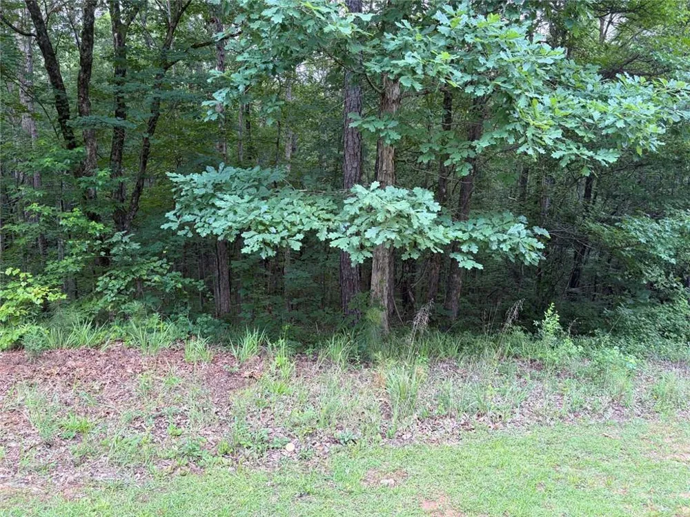 000 SERENITY Cataula, GA 31808