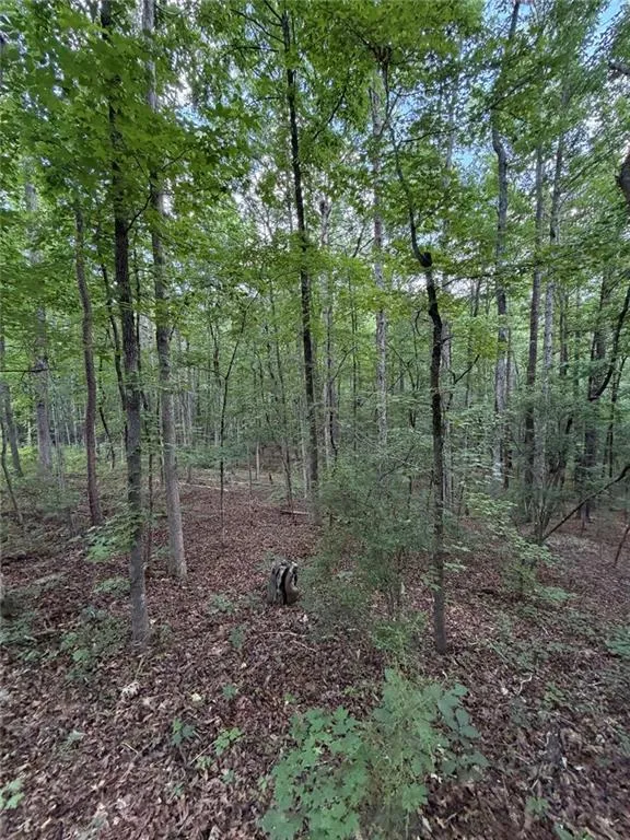 000 SERENITY Cataula, GA 31808