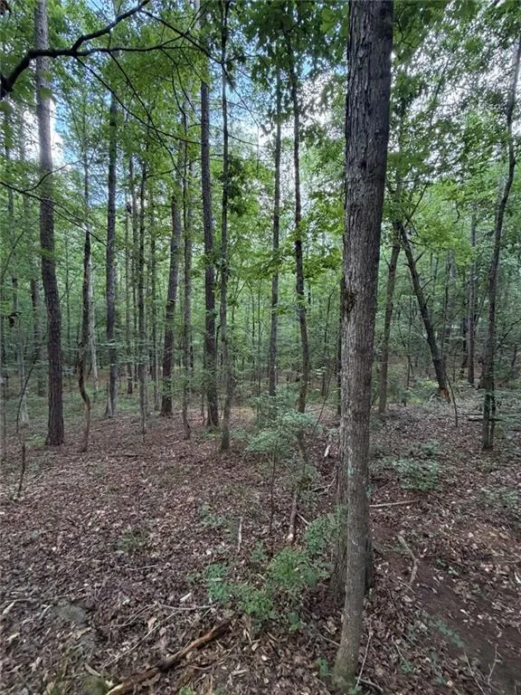 000 SERENITY Cataula, GA 31808