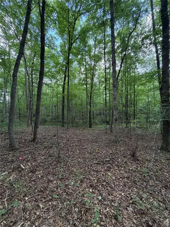 000 SERENITY Cataula, GA 31808