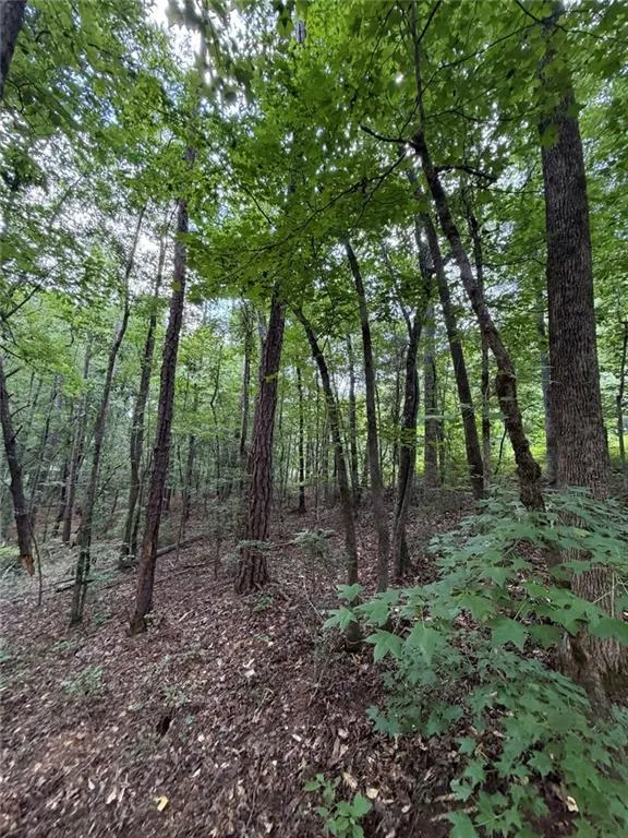000 SERENITY Cataula, GA 31808
